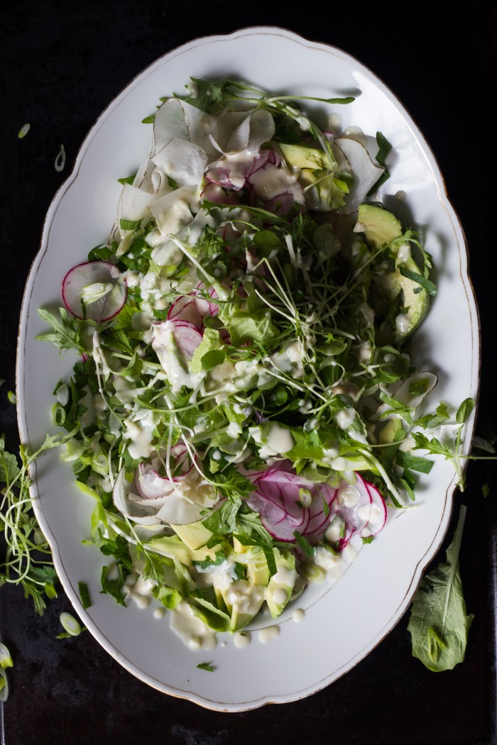 radish avocado salad-5