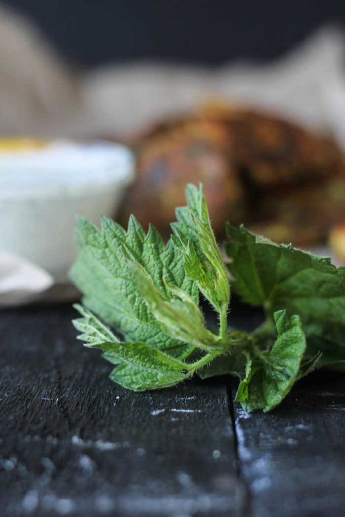 stinging nettle fritters-2